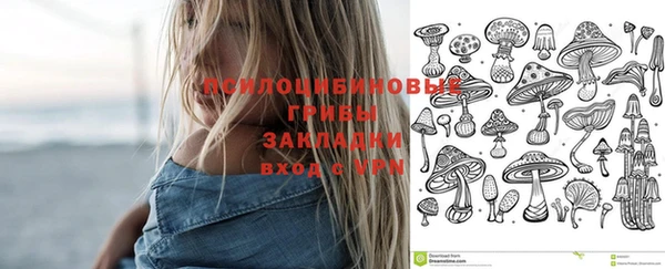 эйфоретик Арсеньев