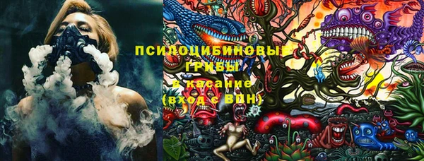 эйфоретик Арсеньев